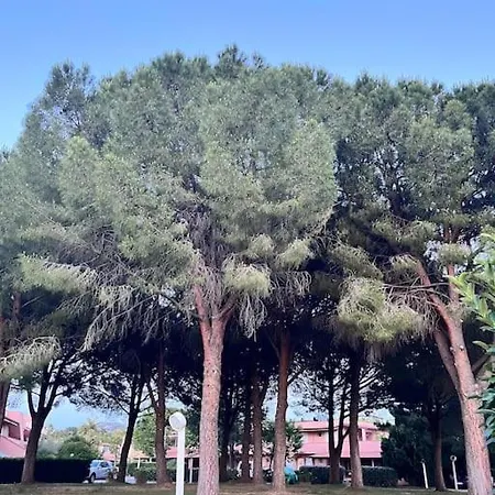 Apartment Villaggio Portorosa Furnari *
